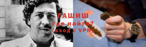 гидра Абаза