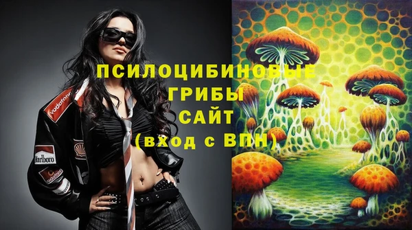 прущая мука Алзамай