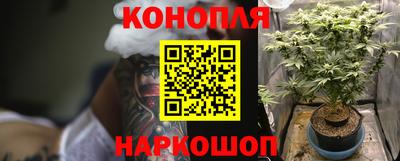 СК Обнинск
