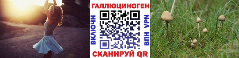купить наркоту  Сочи  Галлюциногенные грибы ЛСД 