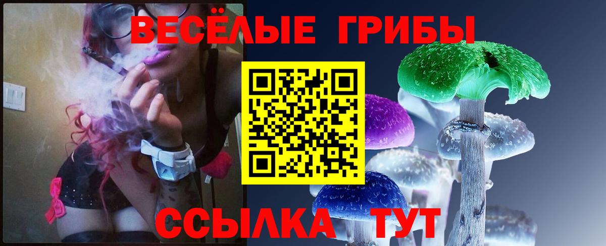 Галлюциногенные грибы Magic Shrooms Сочи