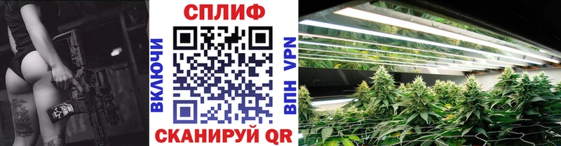 что такое   Сочи  Марихуана Amnesia 